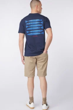 Nordic-D310-Antwrp Online