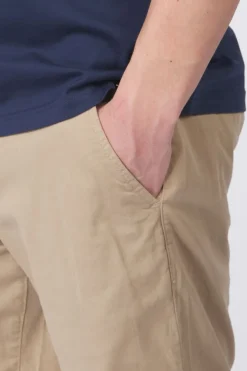 Nordic-D310-Antwrp Online