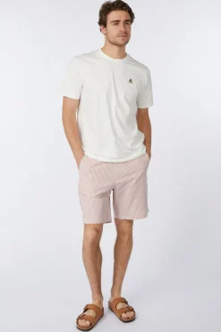 Outlet Antwrp T-Shirt Bts352-L001S Etruscan Red Stripes