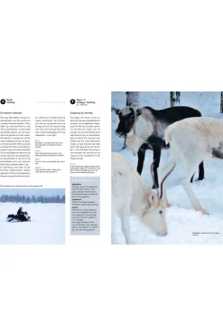 Boek Vakantie Zonder Vliegtuig-ANWB Outlet