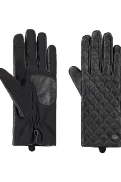 Hague Gloves-Barts New