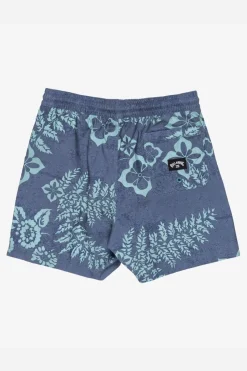Fashion Billabong Zwemshort Vacay Lb Glacier Blue