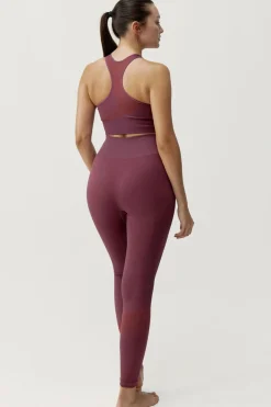 Hot Born Living Sport Bh Aila Beet Plant