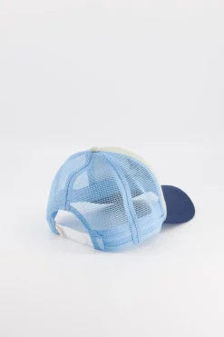 Online Chamaye Pet Cas-Trucker-High Five Blue