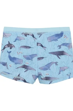 Zwemshort Swim Trunks-Color Kids Discount