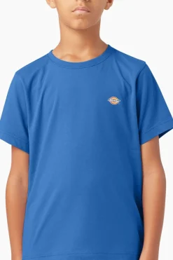 Online Dickies T- Mapleton Country Blue