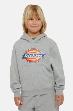 Trui Icon Logo Hoodie K-Dickies Discount