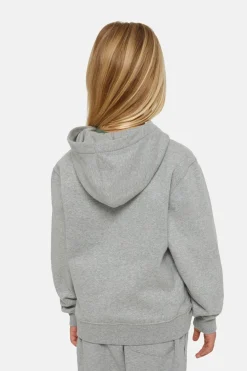 Trui Icon Logo Hoodie K-Dickies Discount