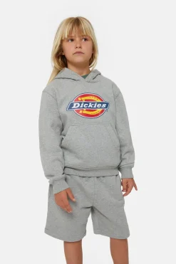 Trui Icon Logo Hoodie K-Dickies Discount