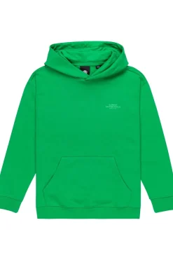 Outlet Element Trui Skateboard Co Kelly Green