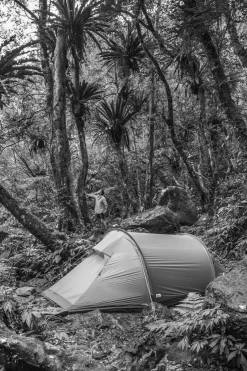 Sale Fjällräven Tent Abisko Lite 2 dark green