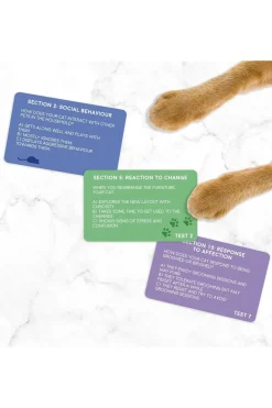 Speelgoed Cat Personality Test-Gift Republic Sale