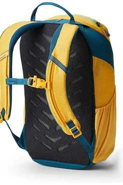 Online Gregory Dagrugzak Wander 8 Aqua Yellow