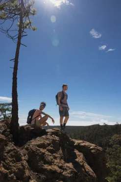 Best icebreaker T-shirt  Men's Merino 125 Cool-Lite™ Sphere III Ss Tee Carob Hthr