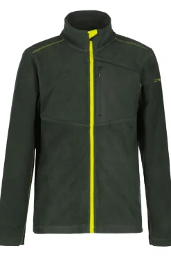 Best Icepeak Fleece Lohmar Jr Dark Green