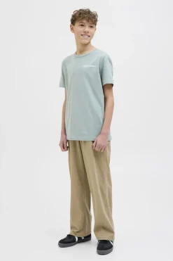 New Jack & Jones Broek Alex Co Carpenter Elmwood