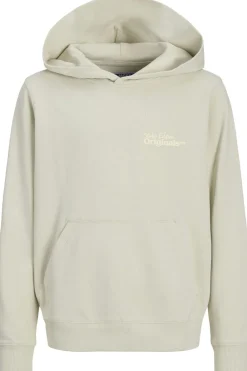 Discount Jack & Jones Trui Paros Type Sweat Back Celadon Tint