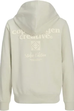 Discount Jack & Jones Trui Paros Type Sweat Back Celadon Tint