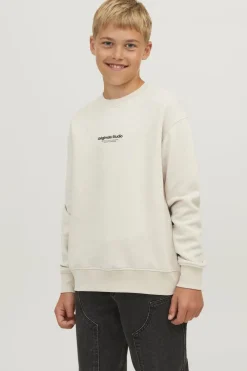 Online Jack & Jones Trui Vesterbro Moonbeam