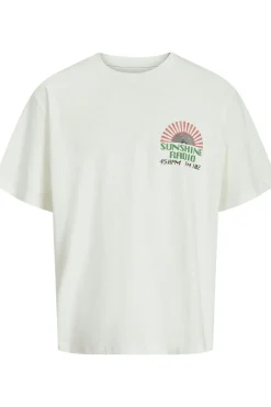 Clearance Jack & Jones T-Shirt Jprblujack Blue Denim