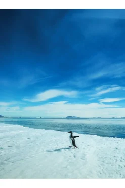 Best Kosmos Boek Wereldplekken - 50 Ongerepte, Ruige En Schilderachtige Plekken Ng 2024