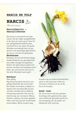 Online Lannoo Boek Meer Wildplukken - Eetbare Geneeskrachtige Planten & Giftige Lookalikes 2024