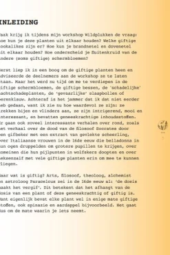 Online Lannoo Boek Meer Wildplukken - Eetbare Geneeskrachtige Planten & Giftige Lookalikes 2024