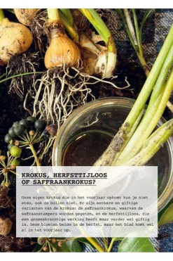 Online Lannoo Boek Meer Wildplukken - Eetbare Geneeskrachtige Planten & Giftige Lookalikes 2024