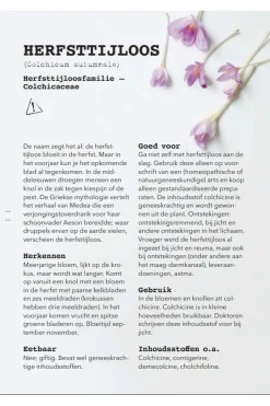 Online Lannoo Boek Meer Wildplukken - Eetbare Geneeskrachtige Planten & Giftige Lookalikes 2024