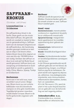 Online Lannoo Boek Meer Wildplukken - Eetbare Geneeskrachtige Planten & Giftige Lookalikes 2024