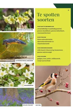 Boek Vlaanderen Wandelboek 20 Wandelingen Door Natuurgebieden-Lannoo Hot