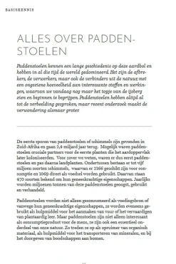 Het wildplukboek voor paddenstoelen-Lannoo Sale