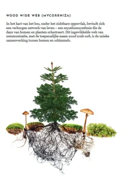 Het wildplukboek voor paddenstoelen-Lannoo Sale