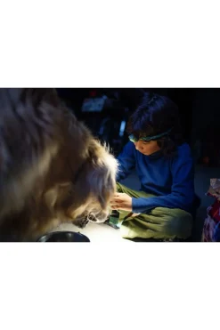 Clearance Ledlenser Hoofdlamp Kidled4R Green