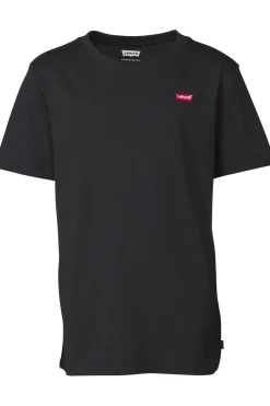 Lvb-Batwing Chest Hit-Levi's Kids Best