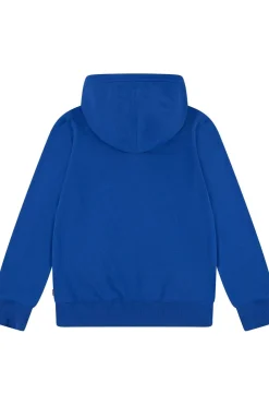 Trui Lvb Mini Batwing-Levi's Kids Online