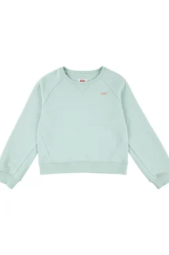 Fashion Levi's Kids Trui Lvg Levis Hd Silicone Batwing Celadon