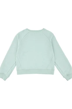 Fashion Levi's Kids Trui Lvg Levis Hd Silicone Batwing Celadon