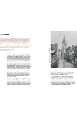 Leuven gids voor thuisblijvers en passanten-Luster Clearance