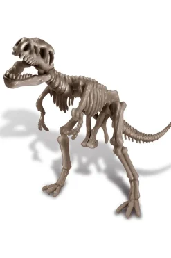 Speelgoed Graaf Je Dinosaurus Op - Tyrannosaurus Rex-4M Outlet