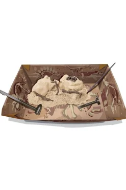 Speelgoed Graaf Je Dinosaurus Op - Tyrannosaurus Rex-4M Outlet