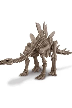 Speelgoed Graaf Je Dinosaurus Op - Stegosaurus-4M Clearance
