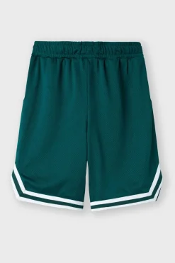 Clearance Name It Short Nkmdimians Forest Biome