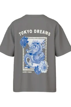 T-Shirt Nkmsilass Ss Nreg Top-Name It Online