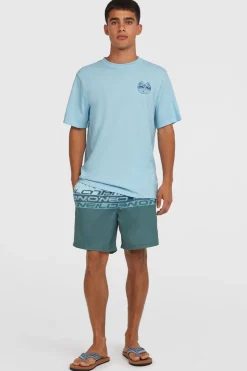 Zwemshort Cali Stripe-O'Neill Online