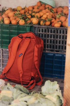 Reistas Black Hole Duffel 40L-Patagonia New