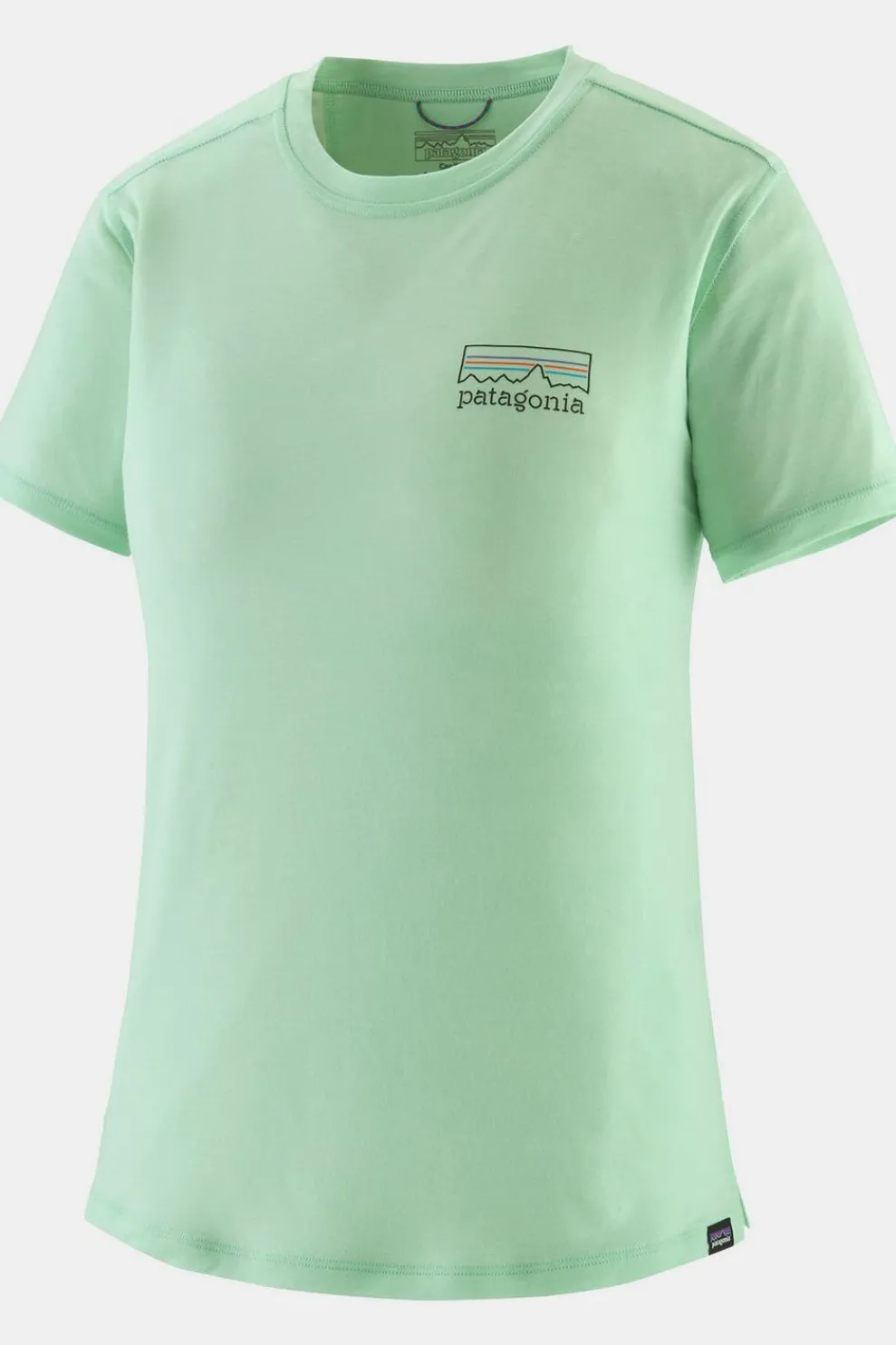 Fashion Patagonia T-Shirt Cap Cool Merino Graphic Shirt Fitz Roy Strata: Rinsed Green