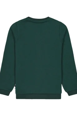 Hot Picture Organic Clothing Trui Tofu Sweater Ponderosa Pine