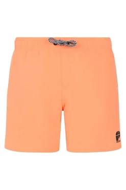 Culture-Protest Discount