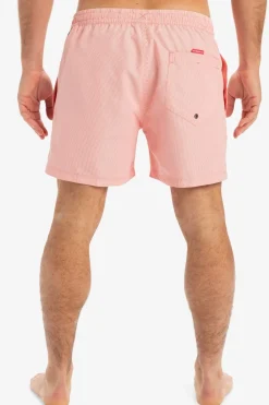 Zwemshort Everyday Deluxe Volley 15-Quiksilver Discount